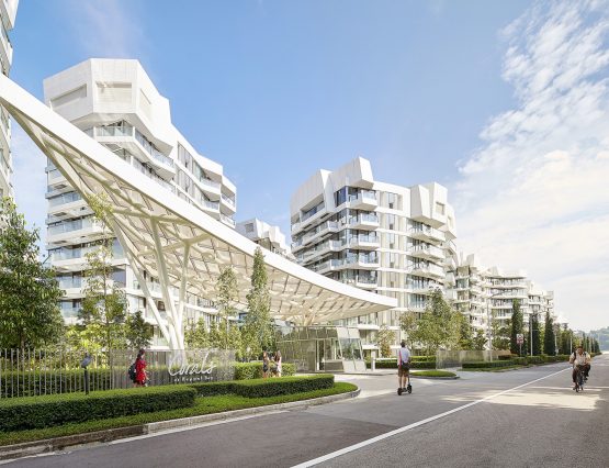 Corals at Keppel Bay