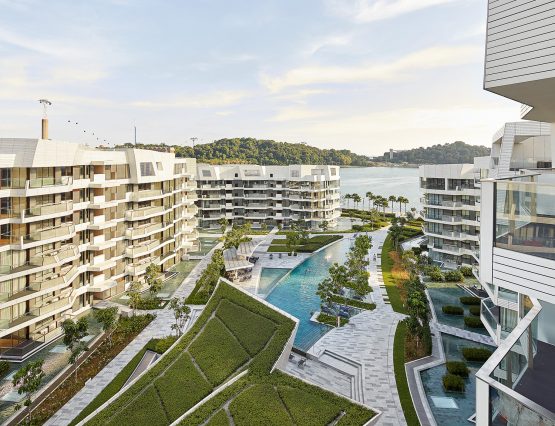 Corals at Keppel Bay