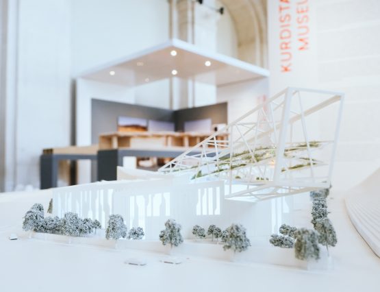 New Museums: Intentions, Expectations, Challenges